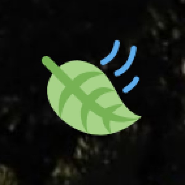 Leading Ayurvedic and Wellness Centers in Telangana