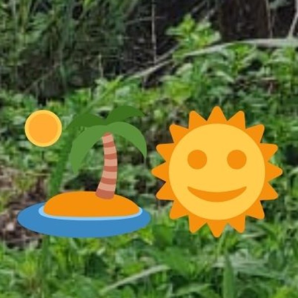 Key Ayurvedic & Wellness Centers in Rajasthan