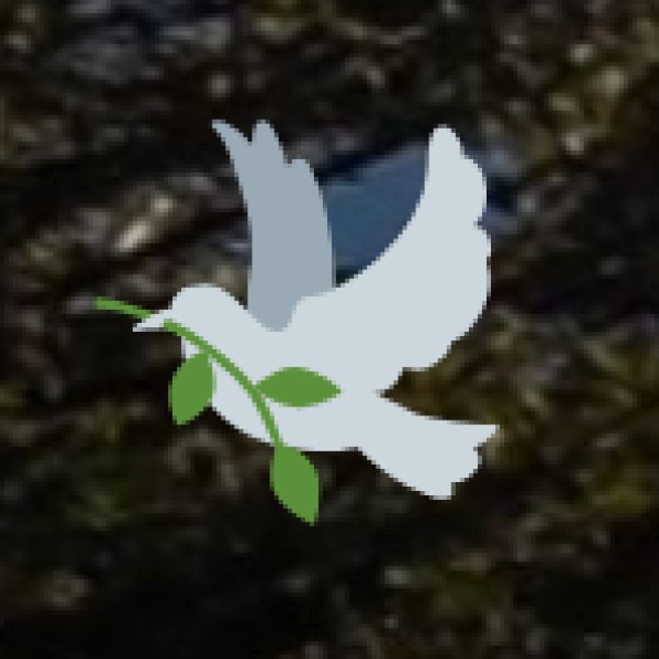 regal-yet-rooted wellness experience