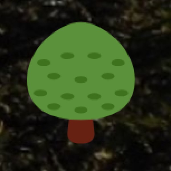 • Challenges and Opportunities: