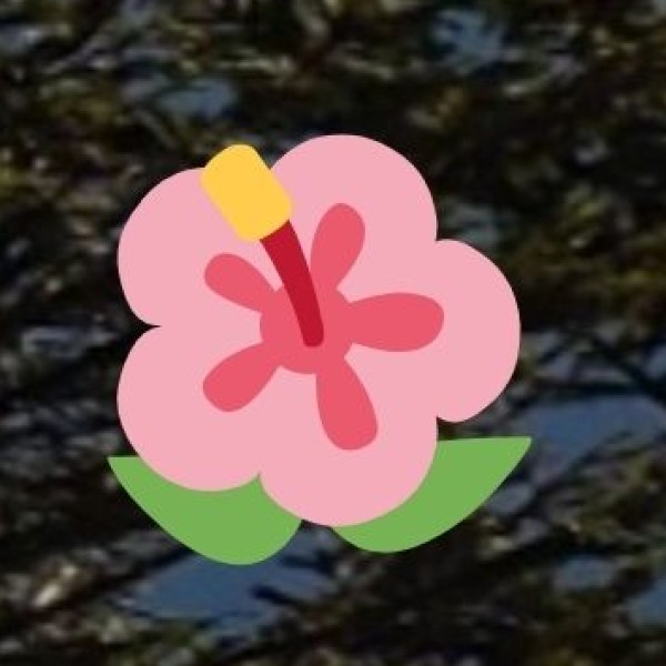 Popular Ayurvedic Treatments Offered