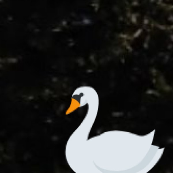 Ideal Destinations in Arunachal for Wellness Tourism