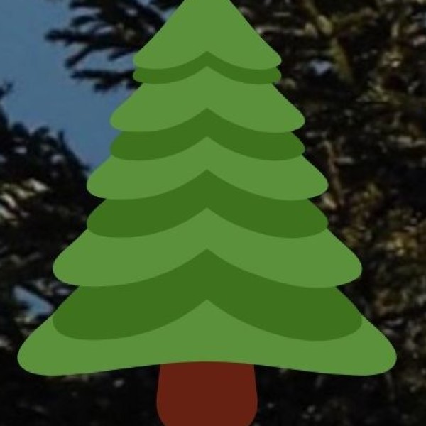 Ayurveda-based wellness tourism.