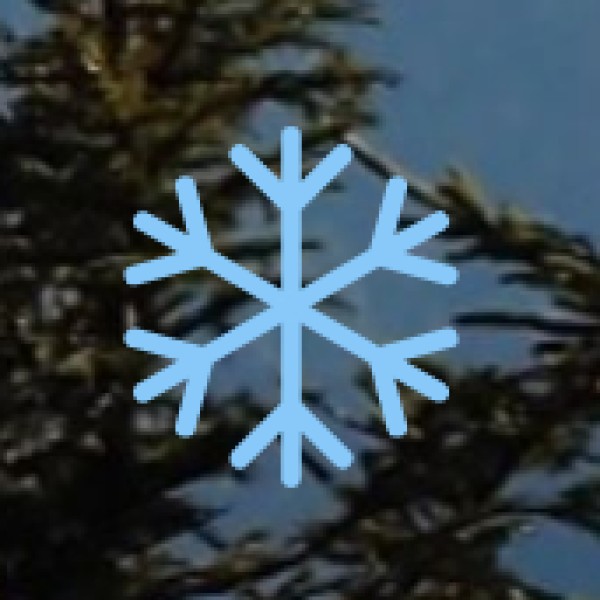 AYUSH Ministry Schemes