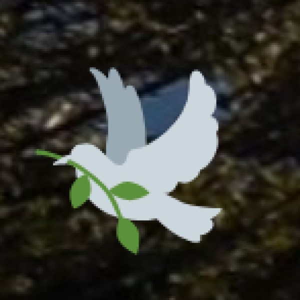 Traditional Healing Systems in Tamil Nadu