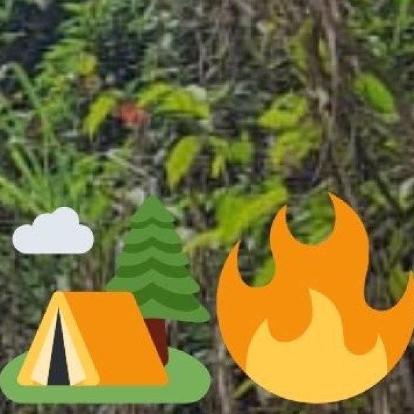 MODERN AYURVEDA & WELLNESS INFRASTRUCTURE