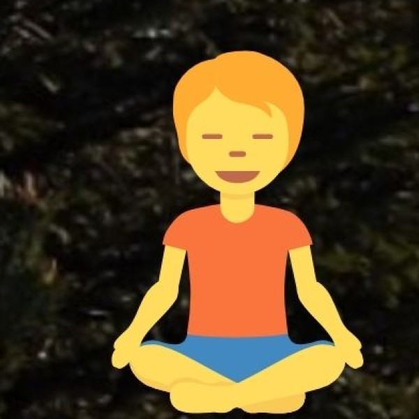 Yoga & Meditation Retreats