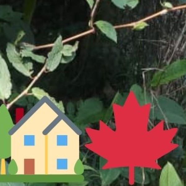 Challenges and Sustainability