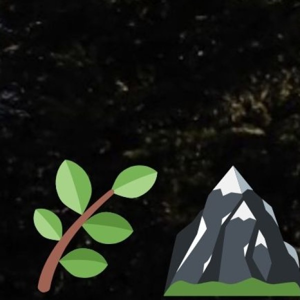 Eco-Wellness in Tea Gardens