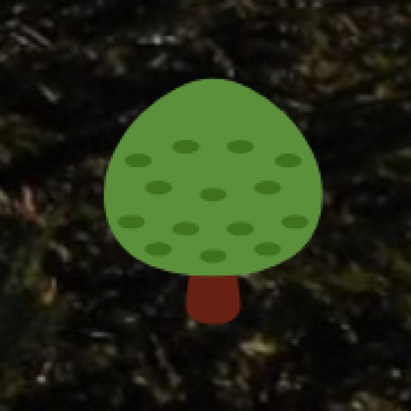 • Ayurveda Tourism: