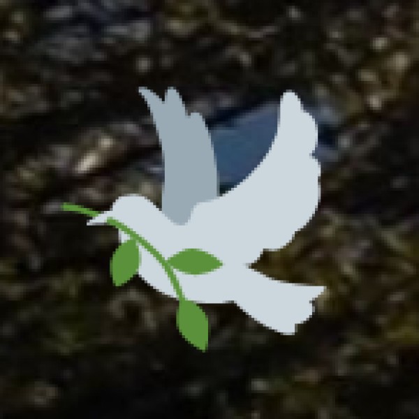 Popular Ayurvedic Treatments & Therapies Offered