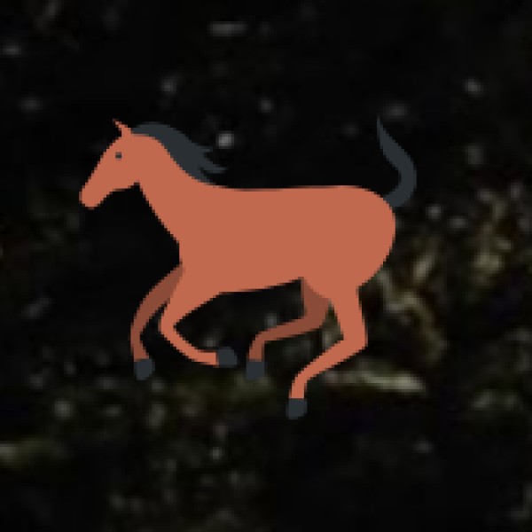 WELLNESS FESTIVALS & EXPERIENCES