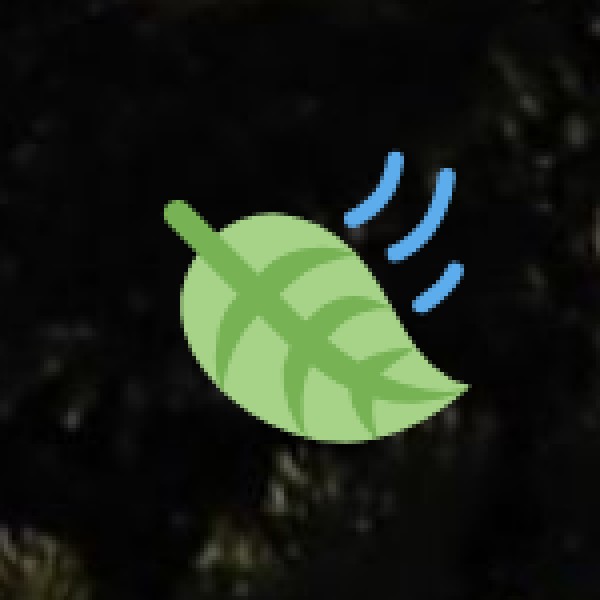 Ayurveda & Wellness Tourism in Rajasthan