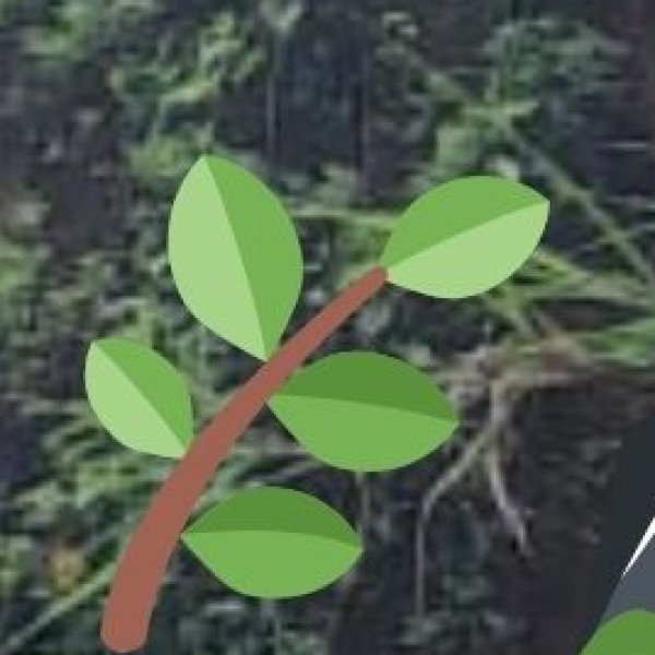 Top Ayurvedic & Naturopathy Centers in Gujarat