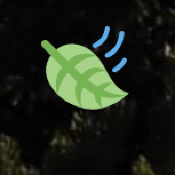 The Essence of Ayurveda & Wellness in Pondicherry: