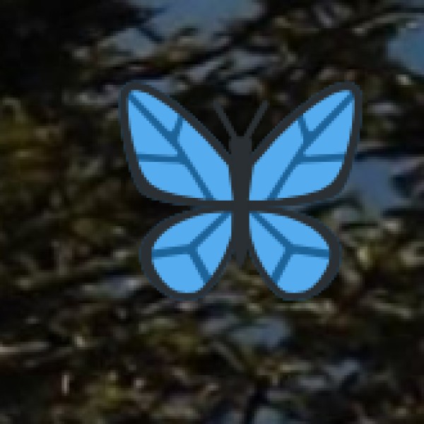 Noida & Ghaziabad (NCR Belt)