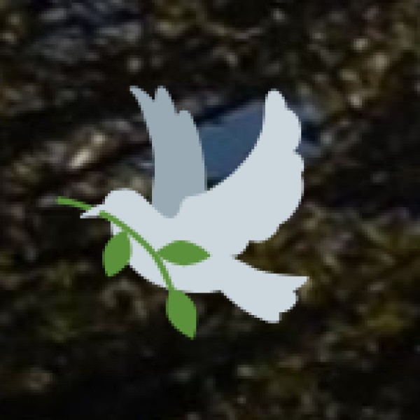 Ayurveda’s Role in Medical Tourism