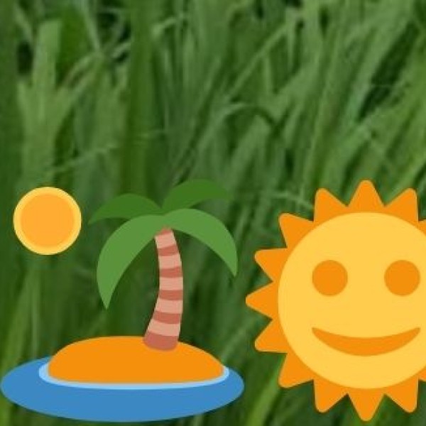 Popular Ayurvedic & Wellness Destinations