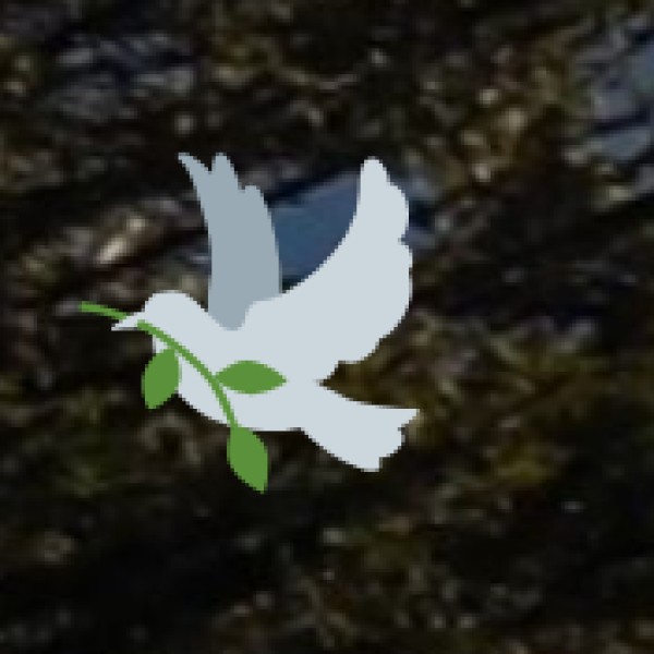 Research, Education & Training