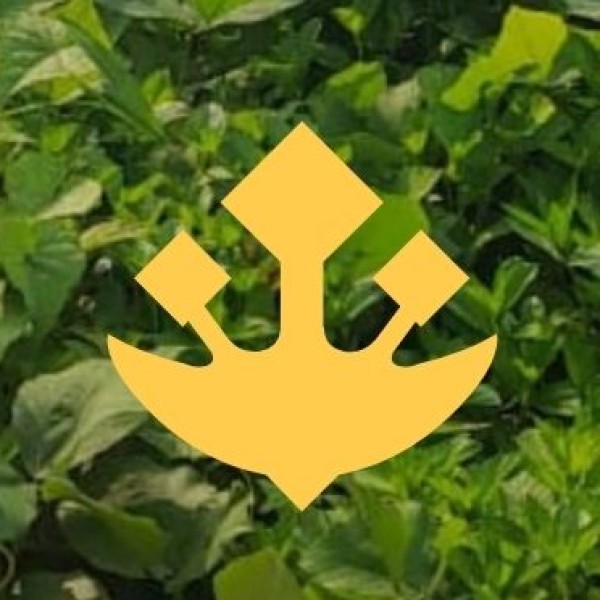 Wellness Tourism Infrastructure and Facilities