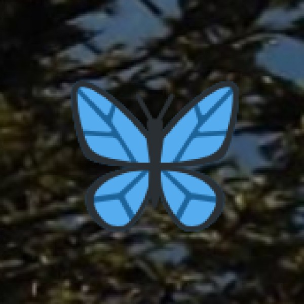 Panchakarma & Wellness Centers