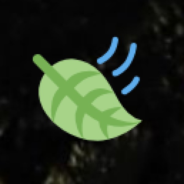 Mayong – The Land of Magic and Mysticism