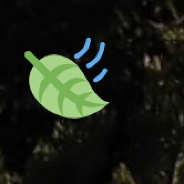 Harishankar & Nrusinghnath