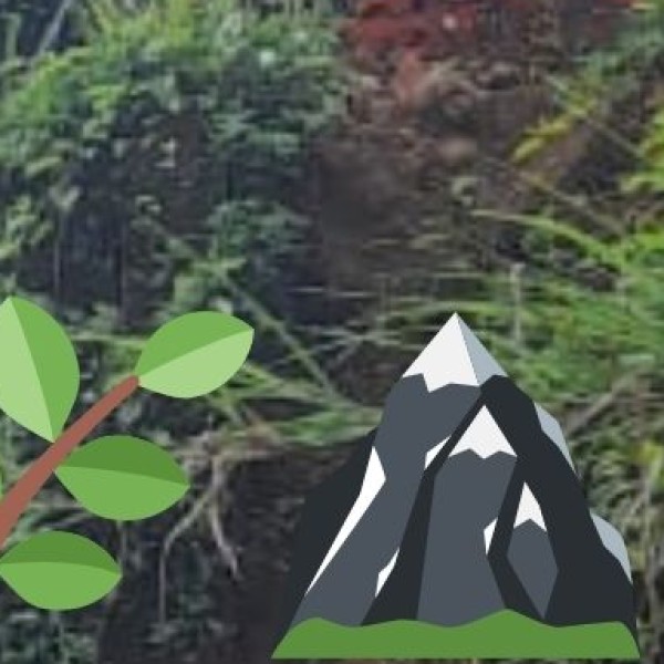 Kerala’s Hidden Gems