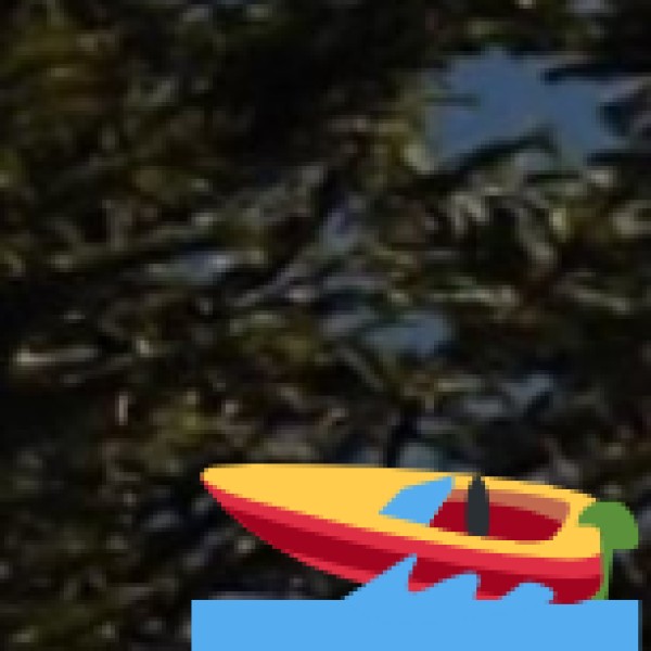 • Chunnambar River Sanctuary (beyond the main boat house area):