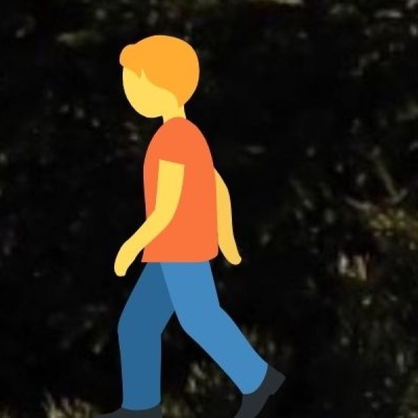 Pfutsero – The Coldest Town in Nagaland