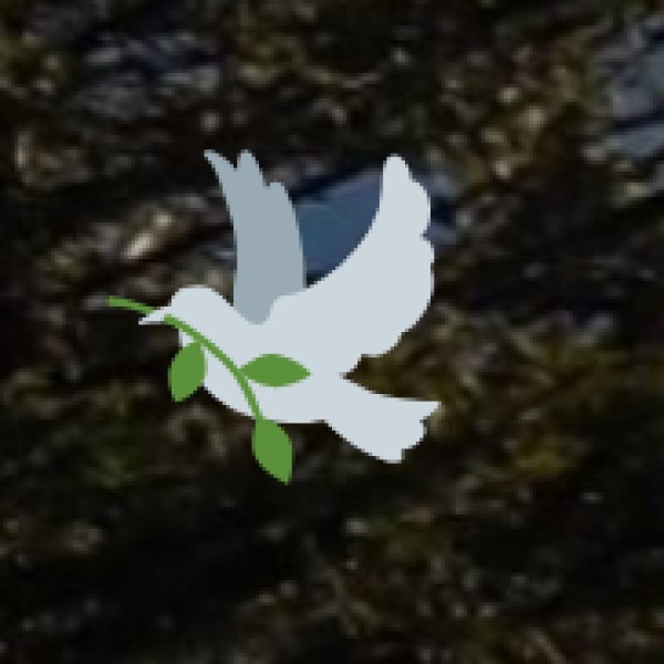 Chizami – Village of Women Weavers