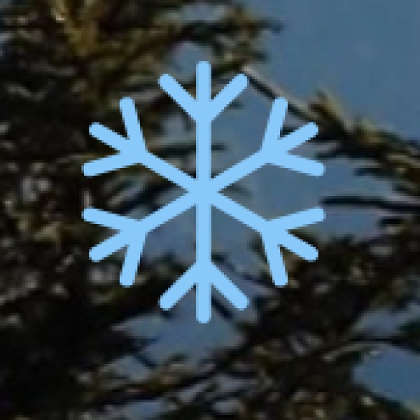 Arvalem Caves & Waterfall