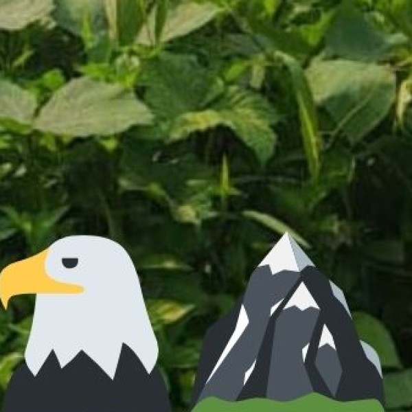 Orchha Nature Reserve & Betwa River Trails