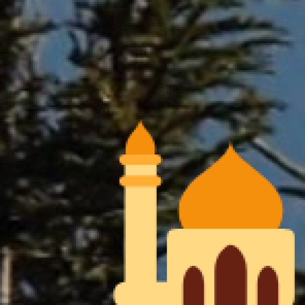 Attend a Live Sufi Qawwali at Nizamuddin Dargah