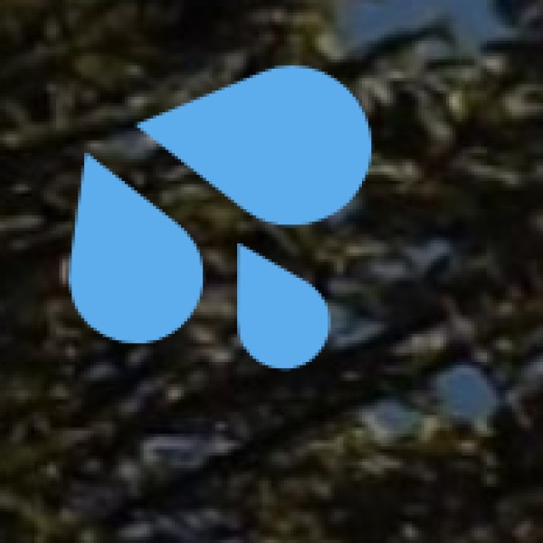 Rani Dah Waterfall (Jashpur)