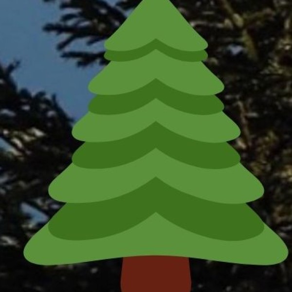 Pali (Korba District)