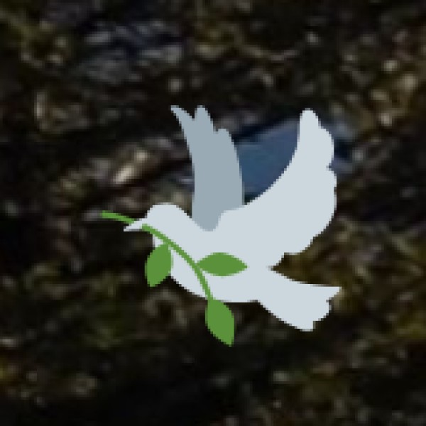 Pitti Island & Bird Sanctuary – A Haven for Bird Lovers