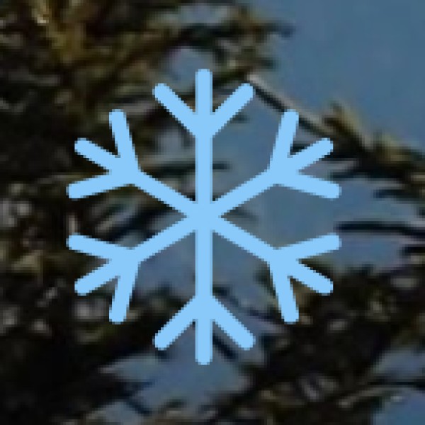 Hidden Gems & Offbeat Locations in Assam