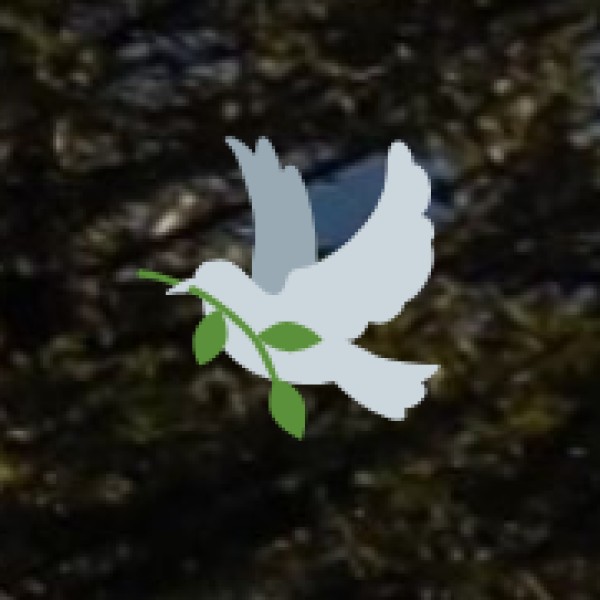 Meesapulimala – Touch the Clouds at 8,661 Feet