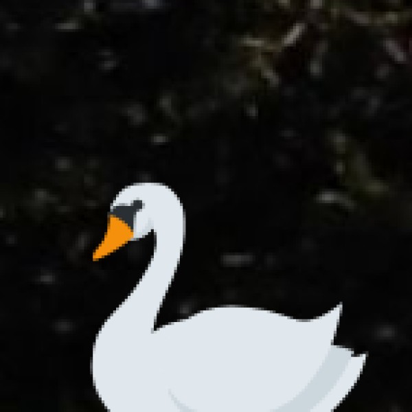 Offbeat Destinations in Ladakh