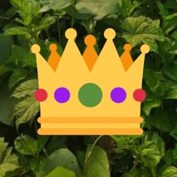 Basgo – Ruins of the Forgotten Kingdom