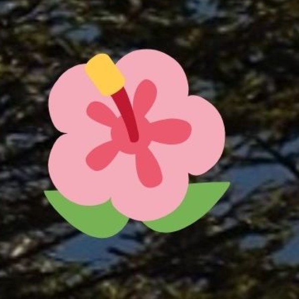 Visit the Mystery Rooms – Delhi’s Real-Life Escape Games