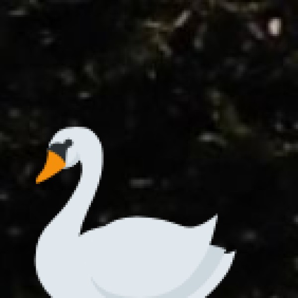 Nawabganj Bird Sanctuary – A Paradise for Birdwatchers