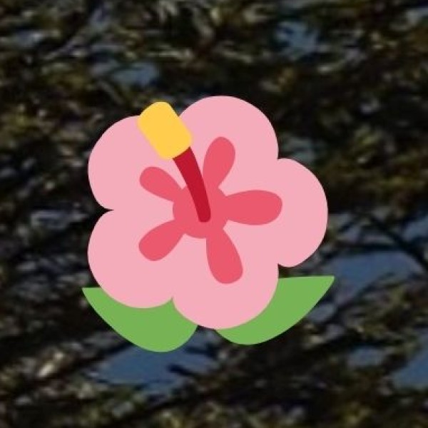 • Umden Village (Ri-Bhoi District):