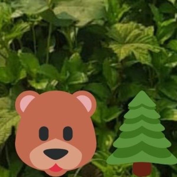 Mudumalai Tiger Reserve