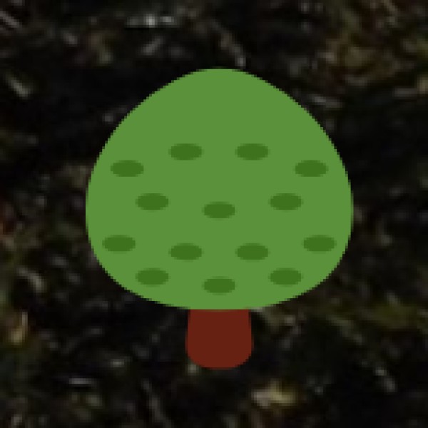 Vindhyachal – The Hidden Shaktipeeth