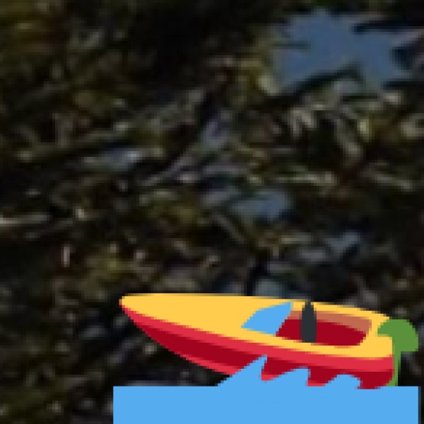 Pangsau Pass & Lake – Changlang District