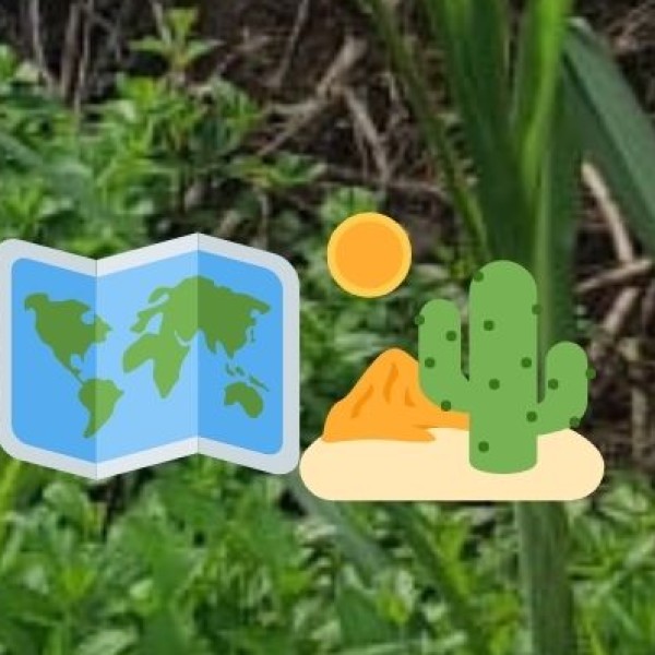 Why visit offbeat J&K?