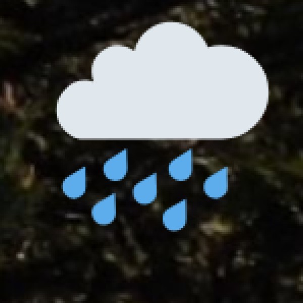 Dehing Patkai Rainforest – Amazon of the East