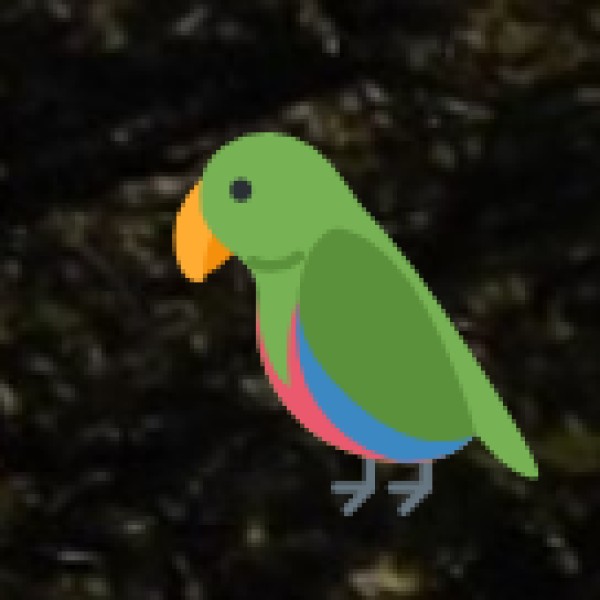 Fudam Bird Sanctuary (Diu)